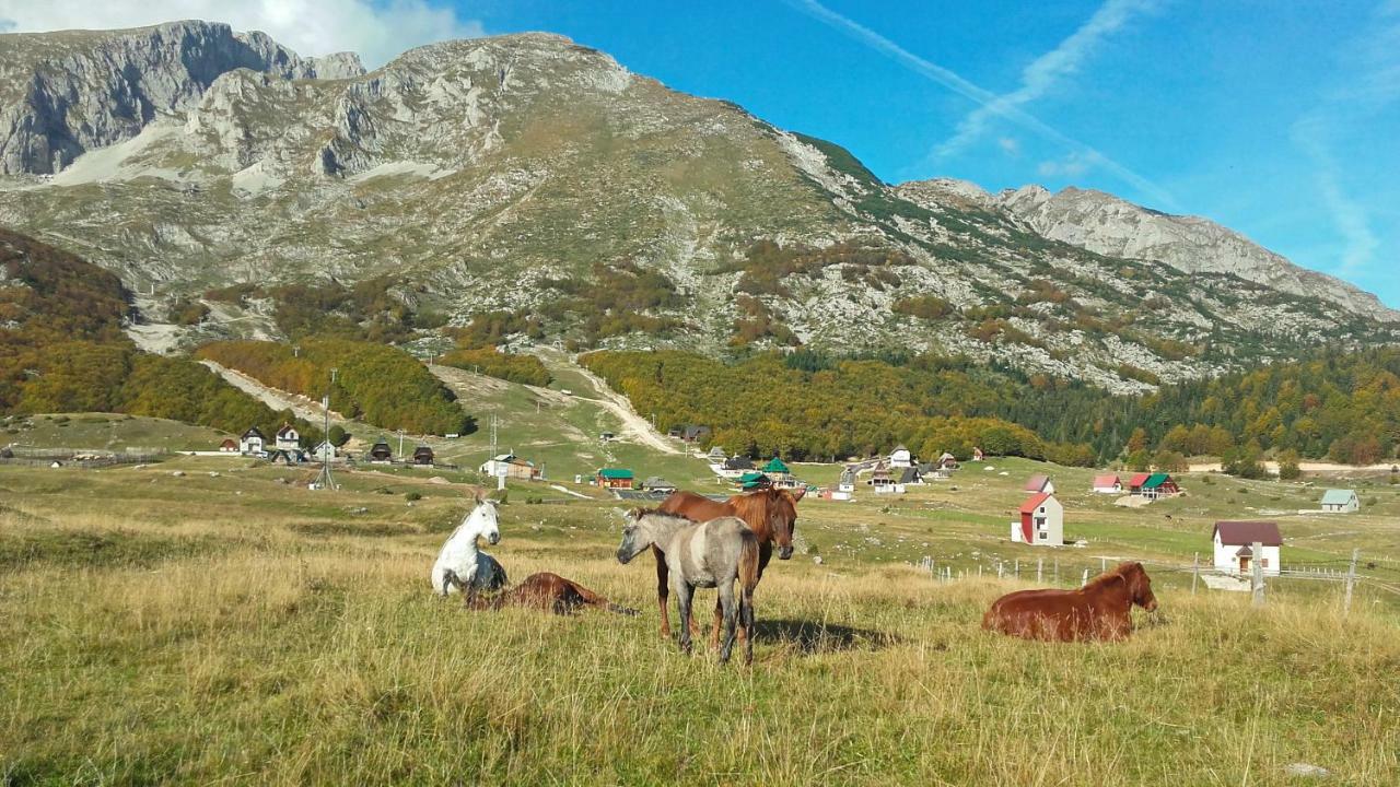 Family Farm Apartments Žabljak Exteriér fotografie